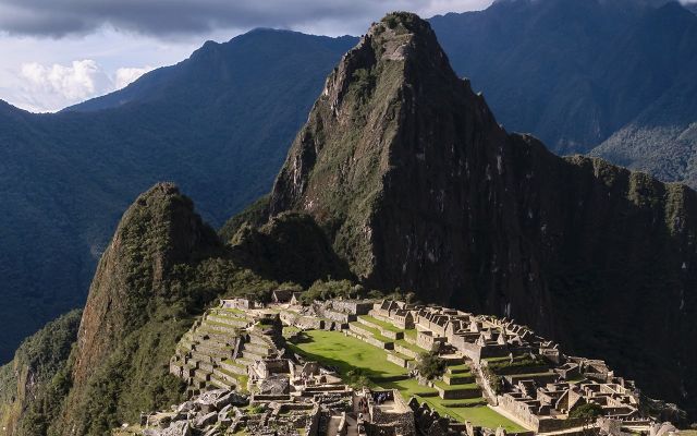 Llama en Machupicchu