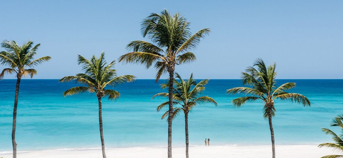 settaruba